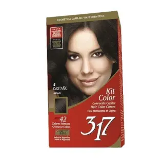 Kit Color 317 Castaño N4
