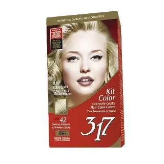 Kit Color 317 Rubio Claro Ceniza N8.1