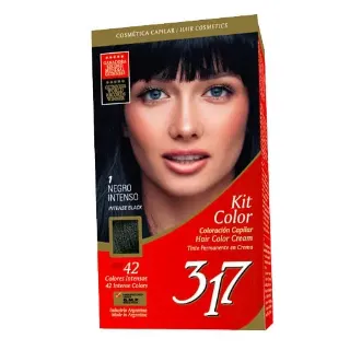 Kit Color 317 Negro Intenso N1