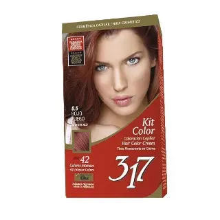 Kit Color 317 Rojo Fuego N0.5