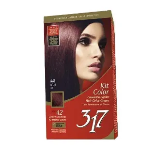 Kit Color 317 Rojo N6.66