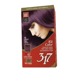 Kit Color 317 Ciruela Roja N0.8