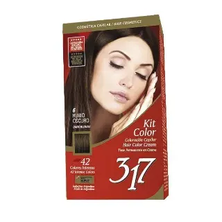 Kit Color 317 Rubio Oscuro N6